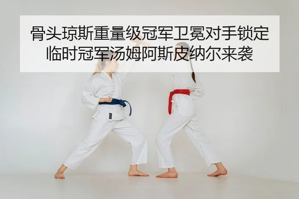骨头琼斯重量级冠军卫冕对手锁定 临时冠军汤姆阿斯皮纳尔来袭